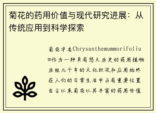 菊花的药用价值与现代研究进展：从传统应用到科学探索